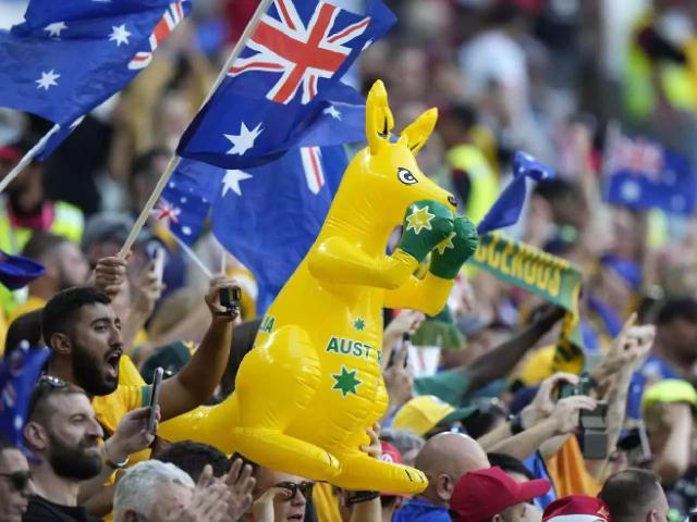 1669819402556093392.jpeg 2.jpeg